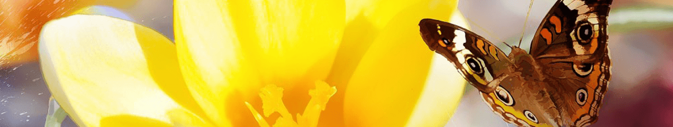 Hypnose_003_Header
